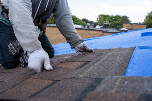 Best Roof Gutter Cleaning  in Gorman, NC